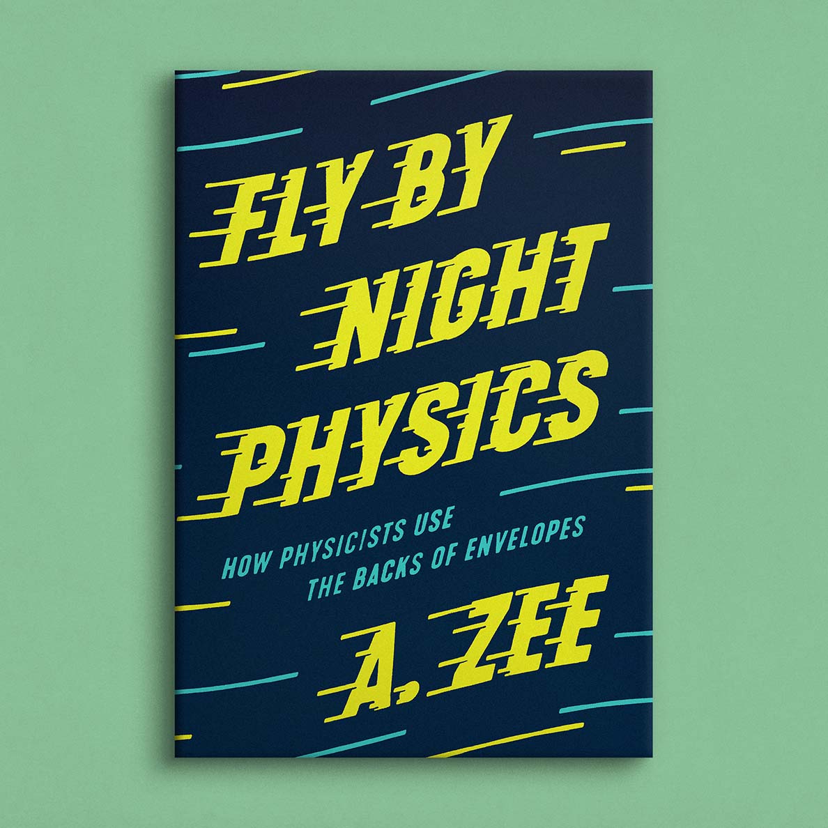 Fly By Night Physics book cover