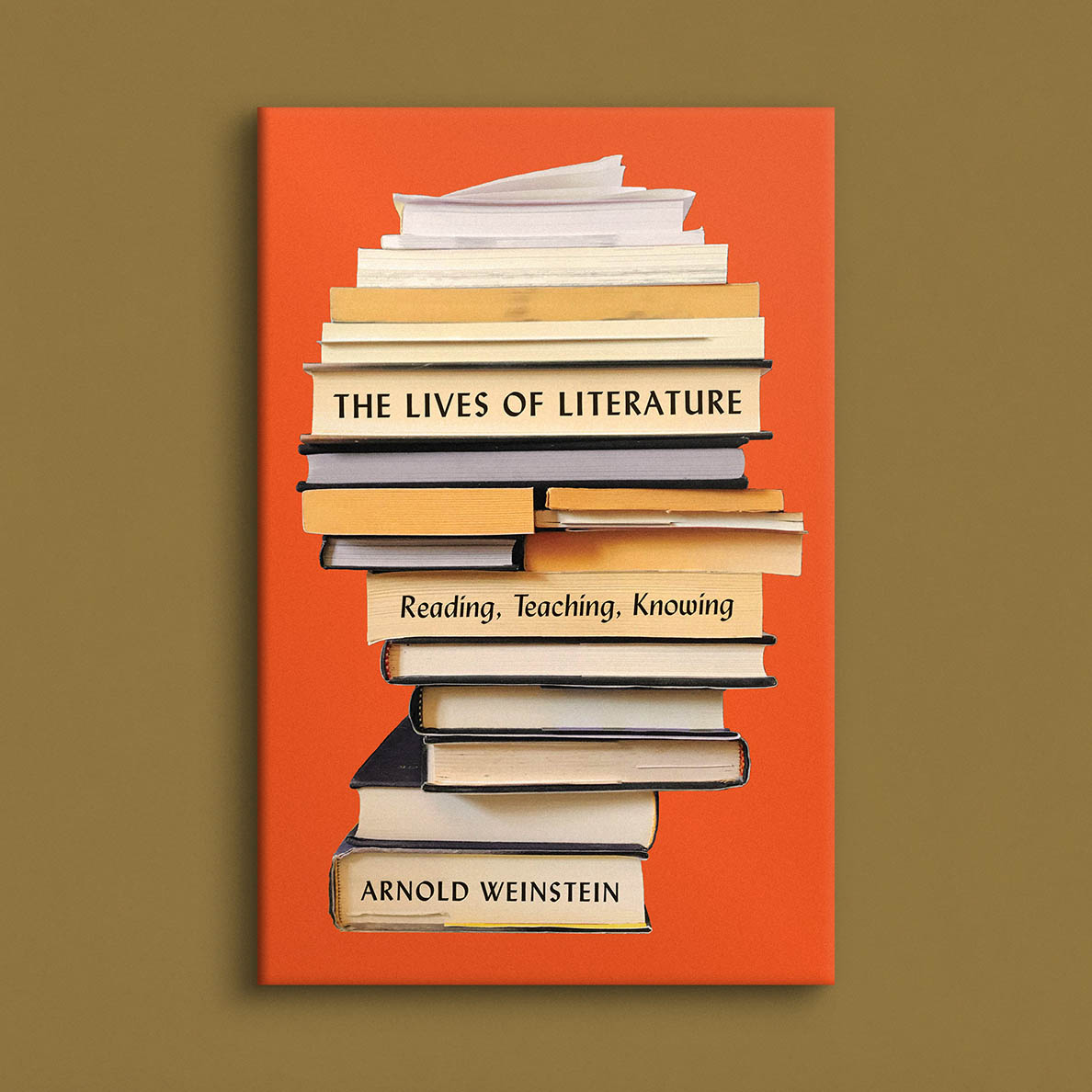 The Lives of Literature book cover