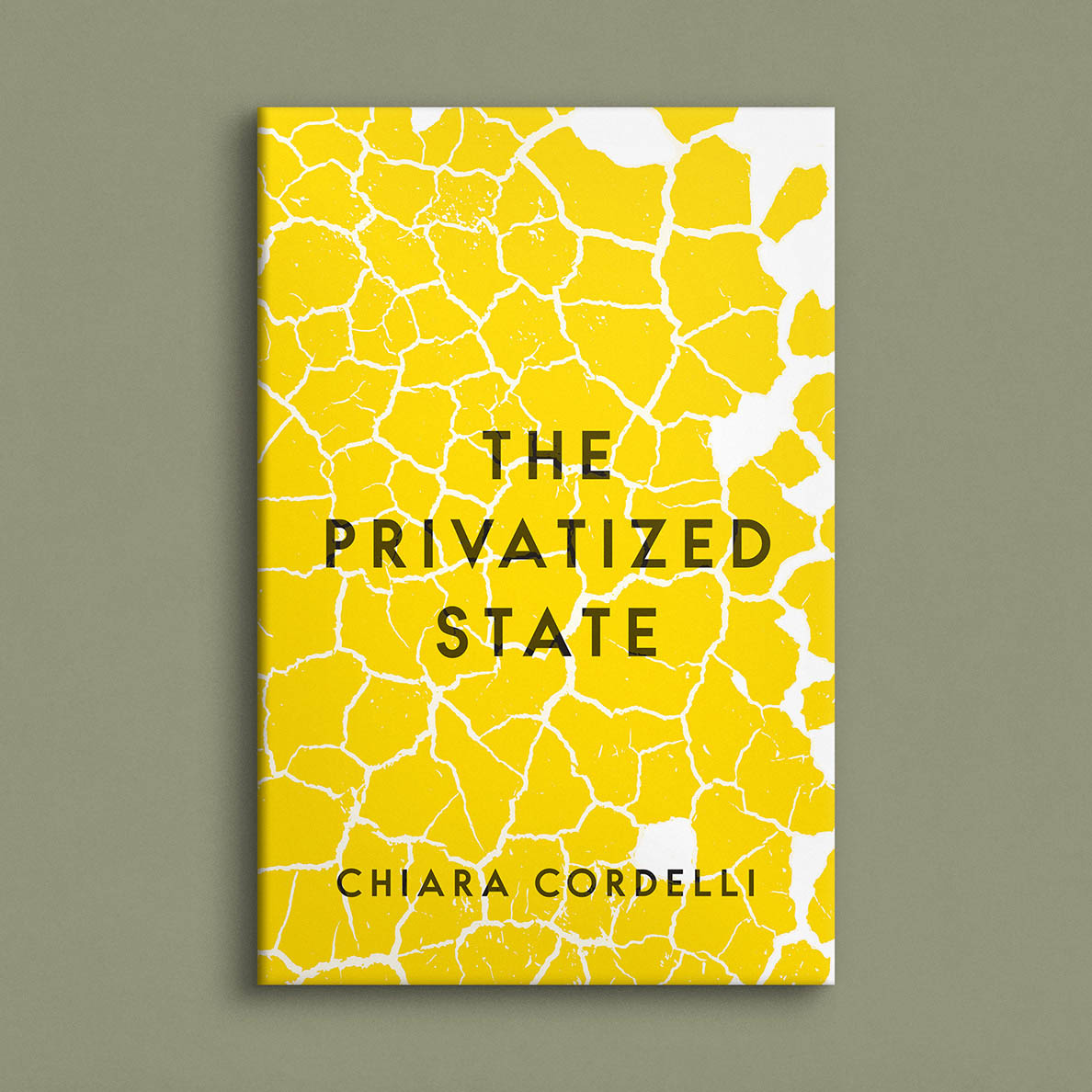 The Privatized State book cover